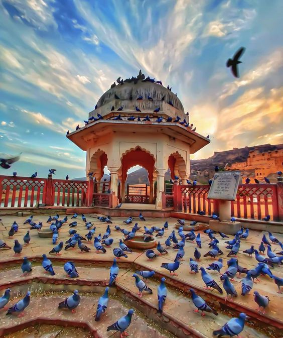 Day: 2 [Jaipur Local Sightseeing]